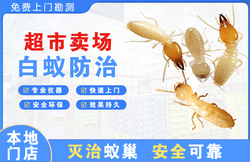 常德超市卖场白蚁防治