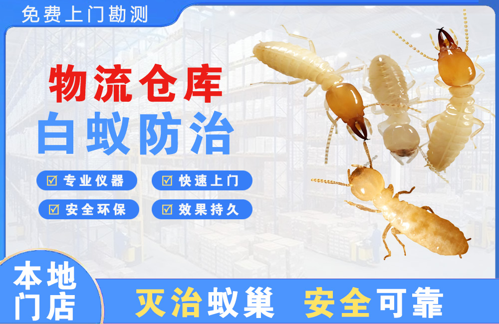 常德物流仓库白蚁防治