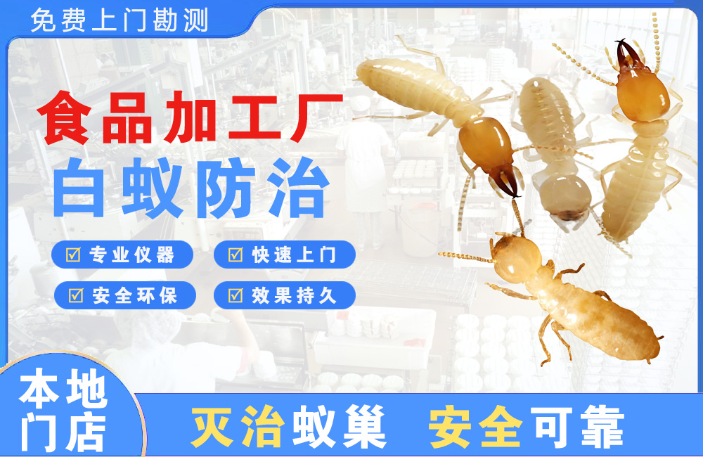 常德食品加工厂白蚁防治