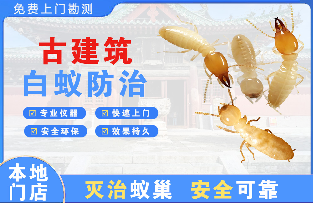 常德古建筑白蚁防治