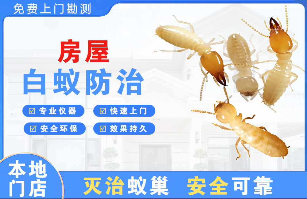 常德房屋白蚁防治